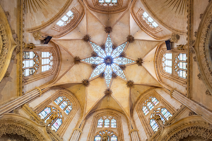 Burgos, Spain   January 14, 2023: architecture religion background. View of interior element of gothic Cathedral of Saint Mary of Burgos Spain. Close up of ceiling Burgos, Spain   January 14, 2023: architecture religion background. View of interior element of gothic Cathedral of Saint Mary of Burgos Spain. Close up of ceiling, by Zoonar DAVID HERRAEZ