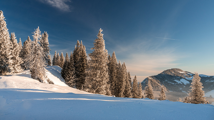 Winter landscape picture from tannheimer valley mountain pirschling and sch nkahler with fresh snow Winter landscape picture from tannheimer valley mountain pirschling and sch nkahler with fresh snow, by Zoonar Daniel Pahmei