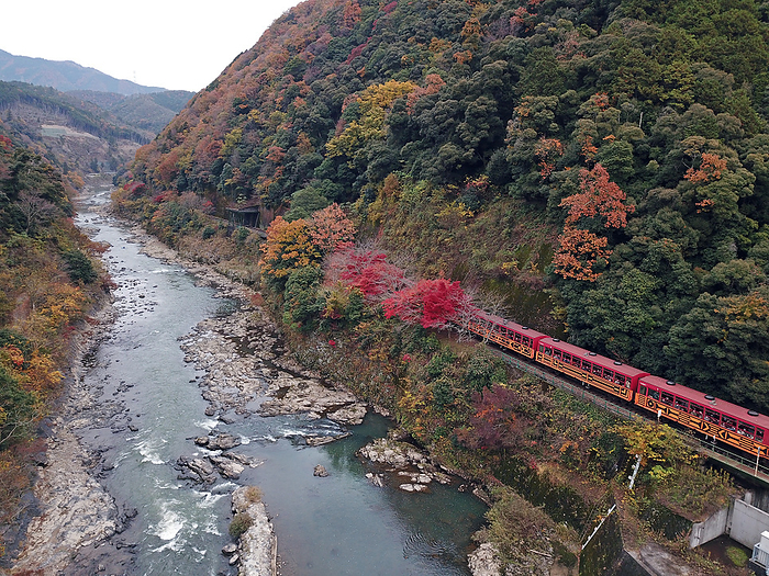 Drone photography Sagano sightseeing trolley train and autumn leaves of Hozukyo gorge Kyoto Pref. Obtained a nationwide comprehensive flight permit from the Ministry of Land, Infrastructure, Transport and Tourism, and photographed within the scope of the Civil Aeronautics Law.
