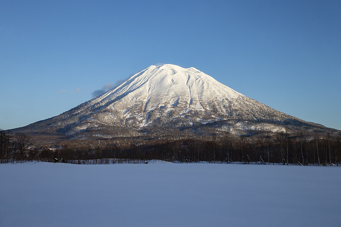 Mt. Yotei in winter Mt. Yotei in the snowfield