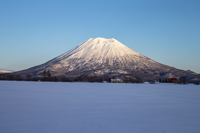 Mt. Yotei in winter Mt. Yotei in the snowfield