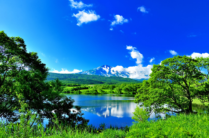 Ougiyachi Tameike Pond and Mt. Chokaisan Akita Pref.