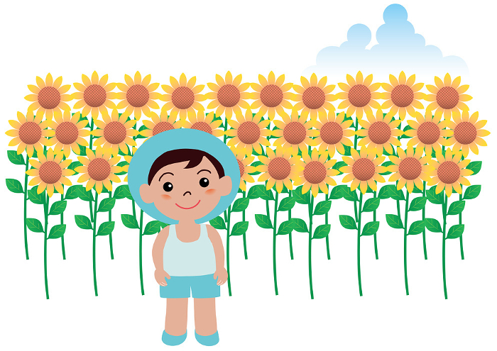 Sunflowers and Boys