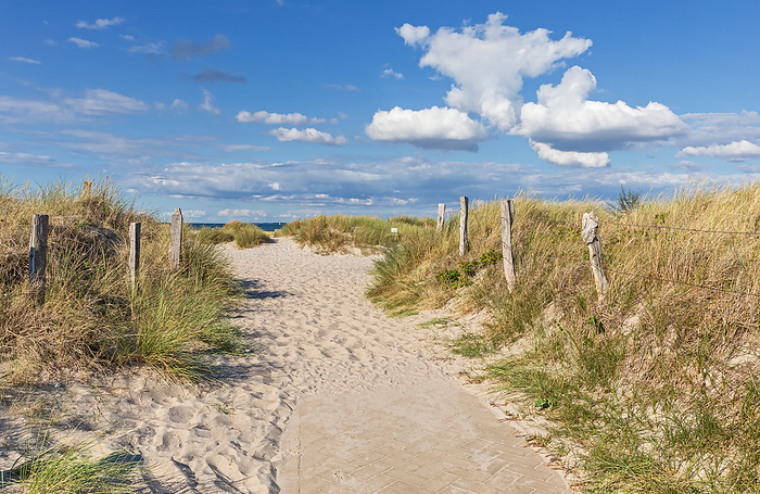 Path through dunes at the beach of the Baltic Sea with blue sky and clouds near Heiligenhafen Path through dunes at the beach of the Baltic Sea with blue sky and clouds near Heiligenhafen, by Zoonar Thorsten Schi
