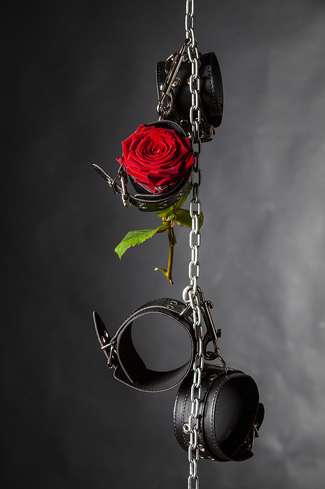 Ledermanschetten und eine Rose auf Schwarz Ledermanschetten und eine Rose auf Schwarz, by Zoonar Bernd Juergen