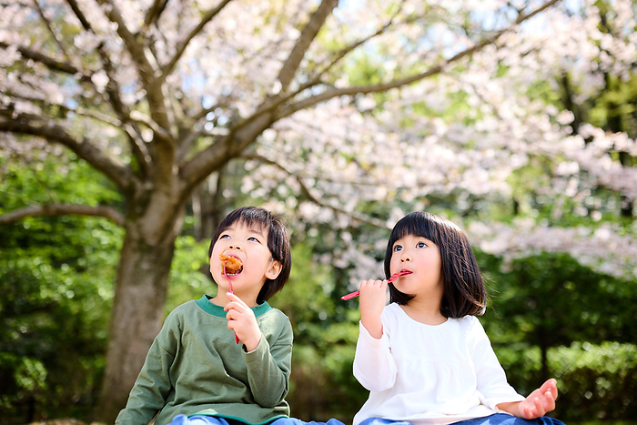 Japanese child eating bento