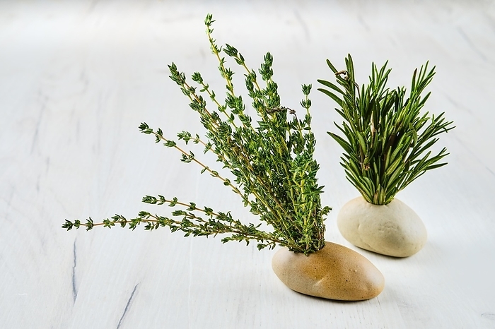 Thyme and rosemary in small stone vase on kitchen table