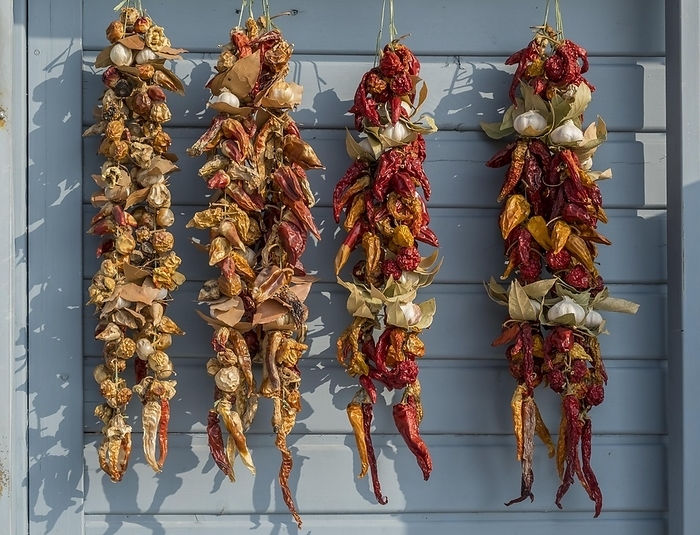 Dried chillies, garlic, bay leaves, market sale, Croatia, Europe