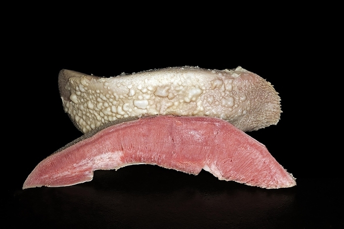 Cured cooked, halved and not yet peeled pork tongue, food photography with black background