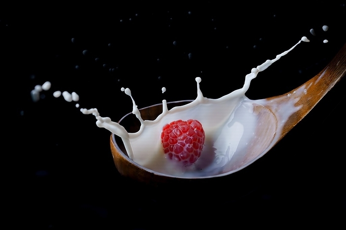 Fresh raspberry splashing milk on a wooden spoon, splash effect with black background