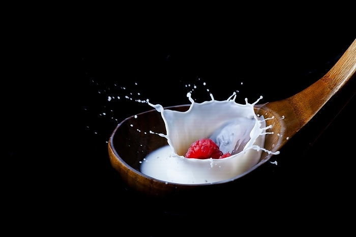 Fresh raspberry splashing milk on a wooden spoon, splash effect with black background