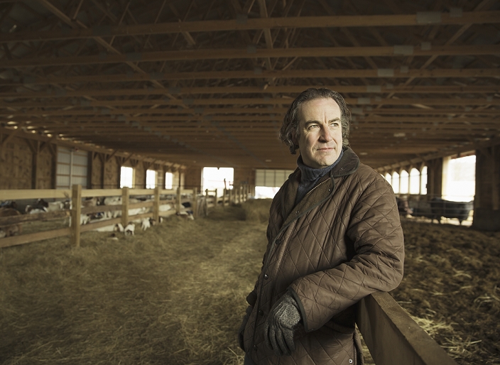 An Organic Farm in Winter in Cold Spring, New York State. A farmer in a livestock barn with sheep at lambing time.