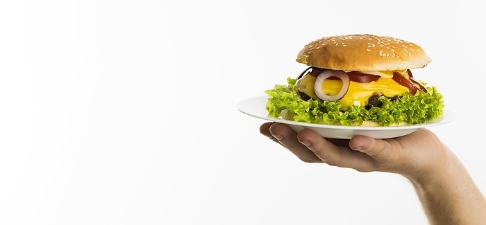 Hand holding burger plate with copy space