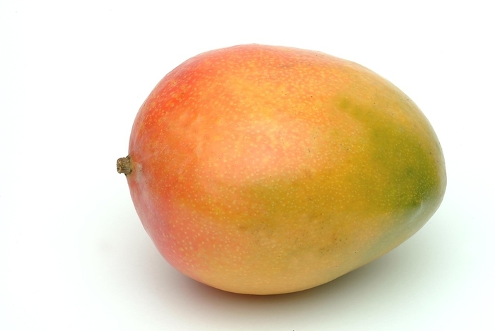 Food, fruit, mango (Mangifera indica), tropical fruit