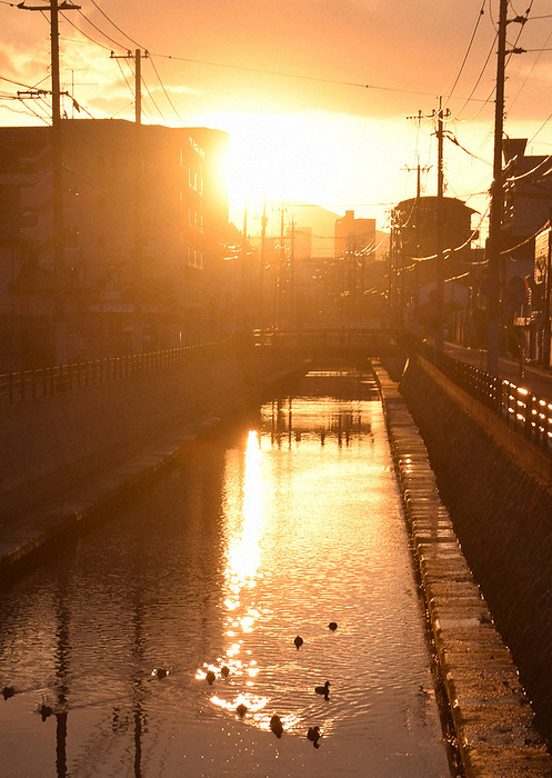 The Tenraiji River became a  river of light  with the reflection of the morning sun. The Tenrai Temple River, which became a  river of light  due to the reflection of the morning sun, in Tobata Ward, Kitakyushu City at 7:09 a.m. on November 15, 2023  photo by Katsuyuki Miyamoto .