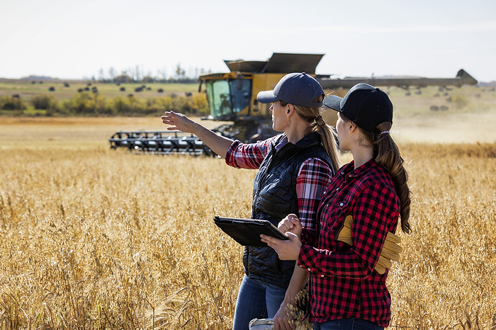 A mature farm woman standing in a field working together with a young woman at harvest time, using advanced agricultural software on a pad, while watching a combine harvester working in the background; Alcomdale, Alberta, Canada, by LJM Photo / Design Pics