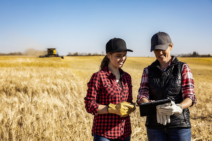 A mature farm woman standing in a field working together with a young woman at harvest using advanced agricultural software on a pad, while a combine harvester is working in the background; Alcomdale, Alberta, Canada, by LJM Photo / Design Pics