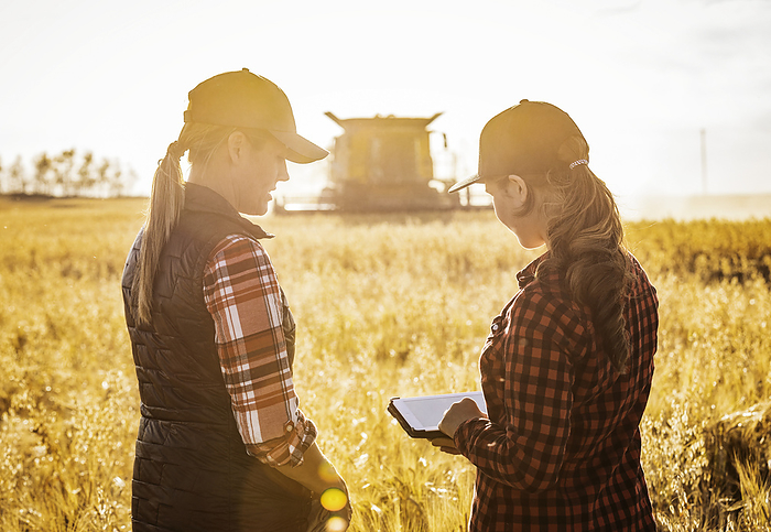 Close-up view taken from behind of a mature farm woman standing in a field working together with a young woman at harvest time, using advanced agricultural software on a pad, while watching a combine harvester working in the background in the golden light of sunset; Alcomdale, Alberta, Canada, by LJM Photo / Design Pics