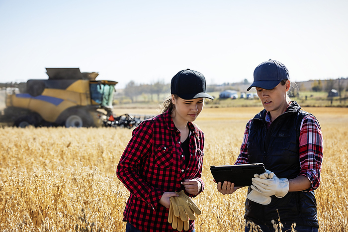 A mature farm woman standing in a field working together with a young woman at harvest time, using advanced agricultural software on a pad, with a combine harvester working in the background; Alcomdale, Alberta, Canada, by LJM Photo / Design Pics
