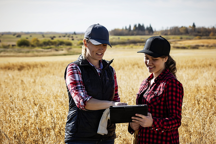 A mature farm woman standing in a field working together with a young woman at harvest time, using advanced agricultural software technology on a pad; Alcomdale, Alberta, Canada, by LJM Photo / Design Pics