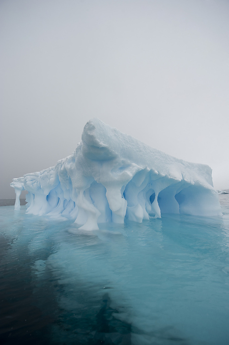 Blue ice on the Antarctic Peninsula on the edge of Antarctic Sound; Antarctic Peninsula, Antarctica, by Joel Sartore Photography / Design Pics