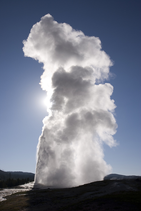 Geyser spews water straight into the air at Upper Geyser Basin in Yellowstone National Park, Wyoming, USA; Wyoming, United States of America, by Michael Melford / Design Pics