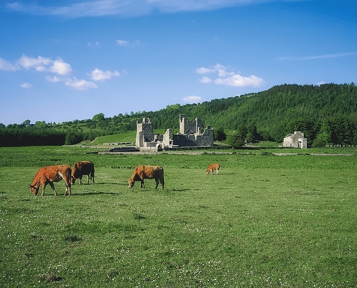 Ireland Fore Abbey, Co Westmeath, Ireland, by The Irish Image Collection   Design Pics