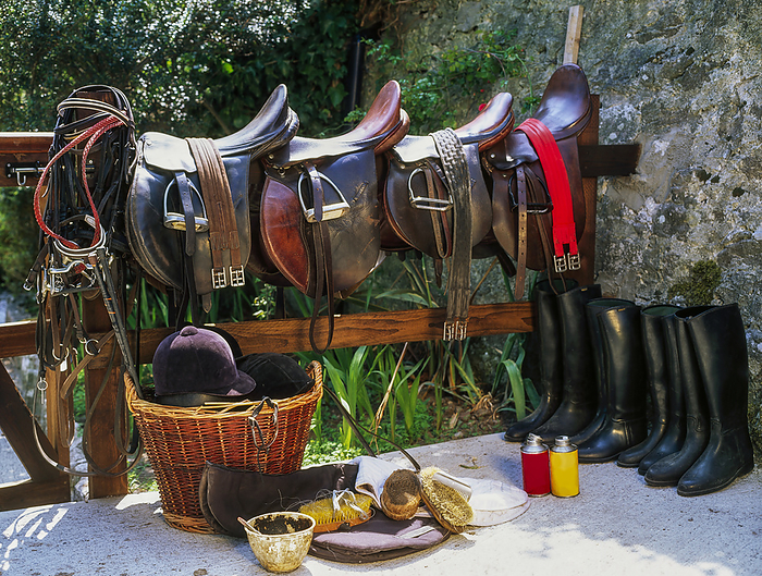 Equestrian Saddles, by The Irish Image Collection / Design Pics