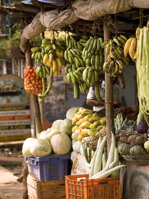 India Fruit Displayed Outdoors  Alleppey,Kerala,India, by Keith Levit   Design Pics