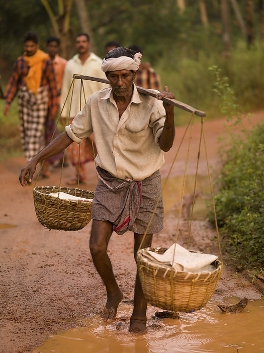 India Fisherman Carrying Baskets Along Mud Road  Kerala,India, by Keith Levit   Design Pics