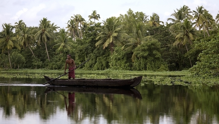 India Man Drifting Through Calm Backwaters On His Boat  Alleppey,Kerala,South India, by Keith Levit   Design Pics
