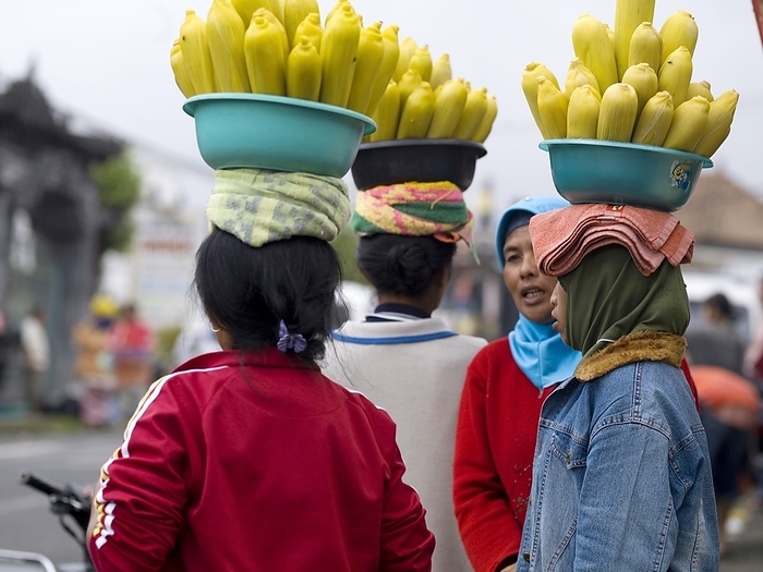 Indonesia Women Carrying Bowls Of Corn On Heads  Bali,Indonesia, by Keith Levit   Design Pics
