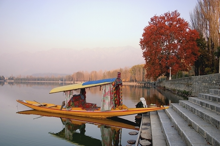 India Boat At Bottom Of Steps  Dal Lake, Srinagar, Kashmir, India, by Matt Brandon   Design Pics