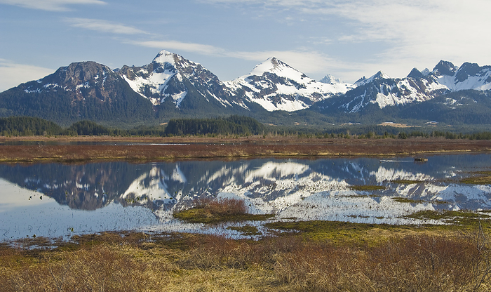 A View Of The Mountains Surrounding The Prince William Sound Near Aliganik Slough, Southcentral Alaska, Spring, by Brian Guzzetti / Design Pics