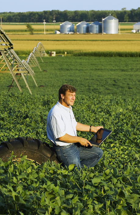 America Agriculture   A farmer enters crop data into his laptop computer while standing in his mid growth soybean field, with a center pivot irrigation system, corn crop and grain bins in the background   near Hoffman, Minnesota, USA., by Steve Woit   Design Pics