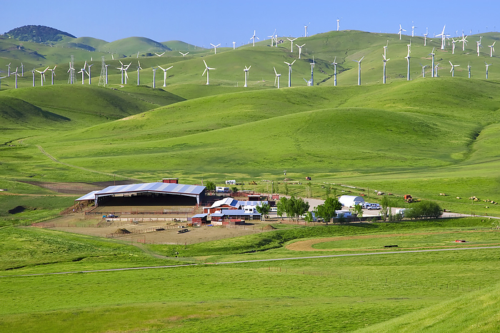America Agriculture   Horse ranch in green rolling hills with wind turbines in the background   near Byron, Contra Costa County, California, USA., by Bill   Brigitte Clough   Design Pics