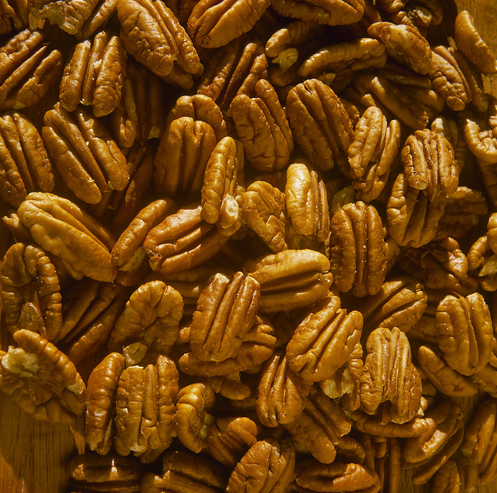 Agriculture - Shelled Southern Pecans., by David Forbert / Design Pics