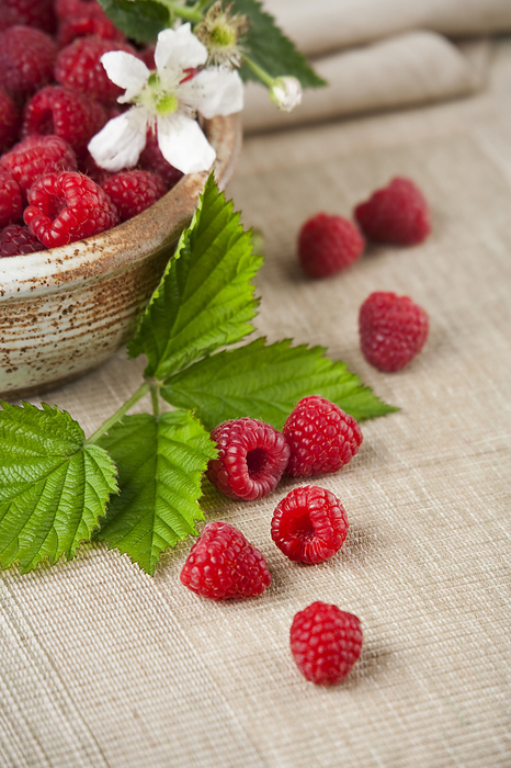 Agriculture - Red raspberries in a bowl and on a mat with leaves and a blossom., by Ed Young / Design Pics