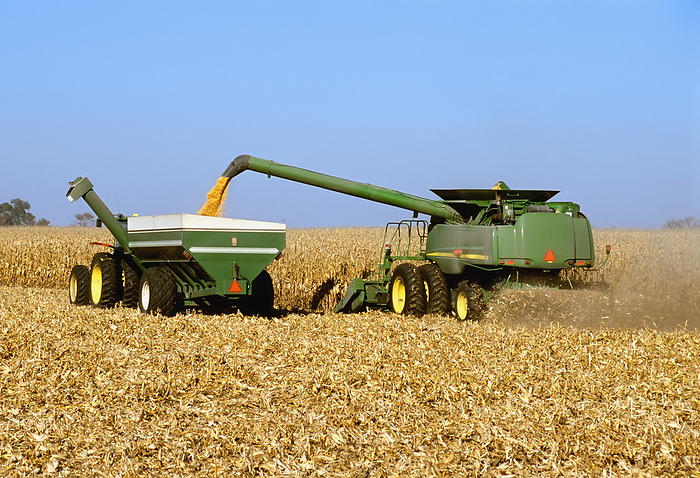 Agriculture - A John Deere combine harvests grain corn while augering the harvested corn into a grain wagon, by Howard Ande / Design Pics