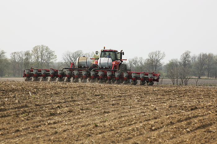 Agriculture - A farmer plants corn using a Case IH tractor and 16-row planter assisted by an on board computer that monitors and controls seed and fertilizer application. GPS auto steer technology controls steering of the tractor and the planter / near D, by Andrew Sacks / Design Pics