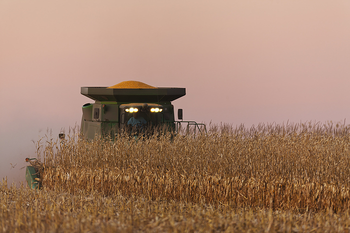 America Agriculture   A John Deere combine harvests grain corn at dusk on a hazy Autumn evening   near Nerstrand, Minnesota, USA., by Richard Hamilton Smith   Design Pics