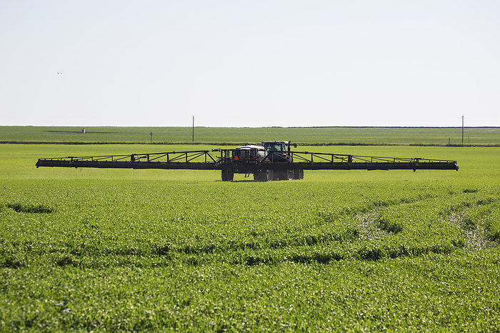 Canada Crop Sprayer In The Field Spraying An Early Growth Wheat Crop  Alberta, Canada, by Michael Interisano   Design Pics
