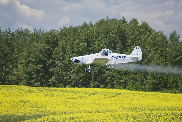 Canada Crop Dusting Plane Over Flowering Canola Field With A Background Of Trees With Blue Sky And Clouds  Crossfield, Alberta, Canada, by Michael Interisano   Design Pics