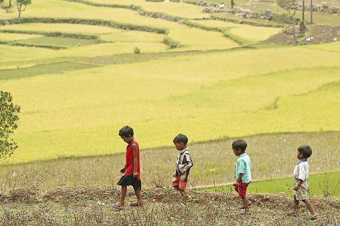 India A Group Of Children Play In The Unnused Paddy Fields Close To The Village  Bangsa Ardual, Andrha Pradesh, India, by Jim Holmes   Design Pics