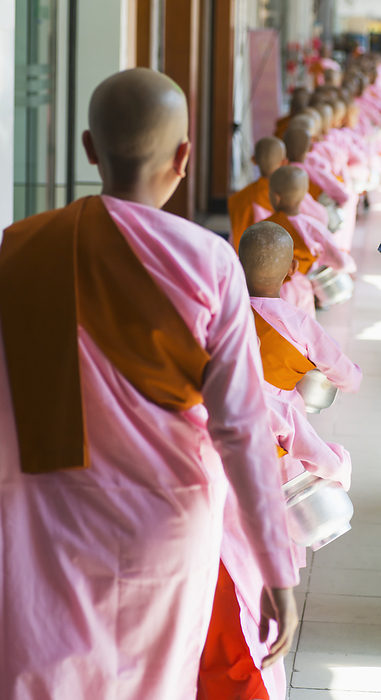 Myanmar A Line Up Of Buddhist Nuns  Rangoon, Burma, by Stuart Corlett   Design Pics