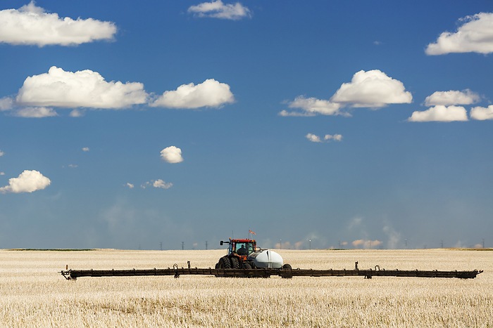 Canada Tractor And Sprayer Spraying A Field Of Cereal Grain Stubble With Blue Sky And Clouds  Nanton, Alberta, Canada, by Michael Interisano   Design Pics