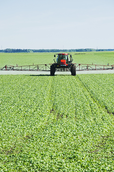 Canada A High Clearance Sprayer Applies Herbicide To Early Growth Canola, Near Dugald  Manitoba, Canada, by Dave Reede   Design Pics