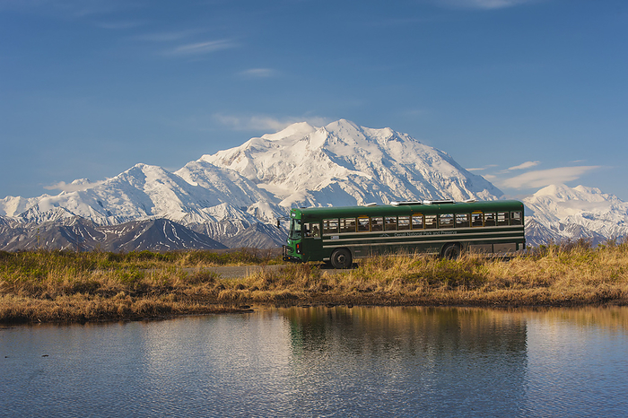 Denali National Park, Alaska Park Bus Parked Along The Park Road Next To A Pond With Mt. Mckinley Towering In The Background, Denali National Park, Alaska, by Michael Jones   Design Pics