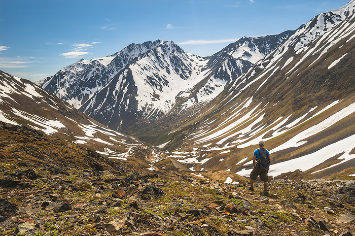 Hiker On Crow Pass Trail, In Chugach State Park Near Girdwood, Southcentral Alaska, Summer., by Michael Jones / Design Pics