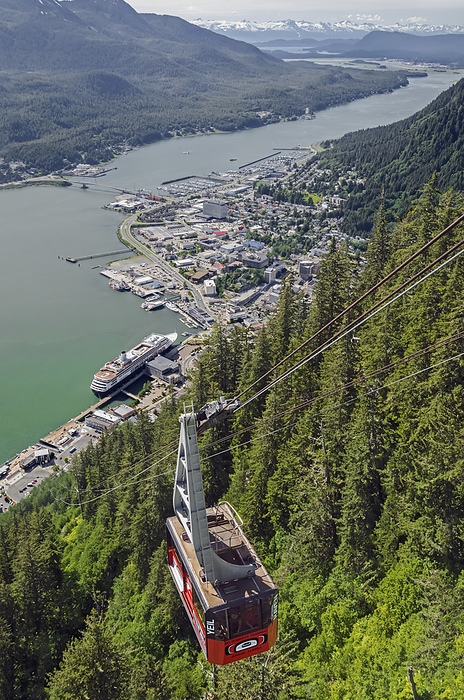 Aerial View From The Mt. Roberts Tramway Of Gastineau Channel, Douglas Island, And Juneau With Holland America Cruise Ship Visible, Southeast Alaska, by Harry M. Walker / Design Pics